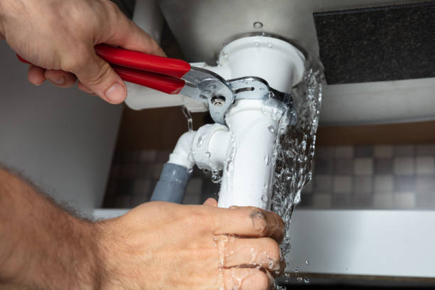 Best Water damage contractors near me  in Blaine, TN