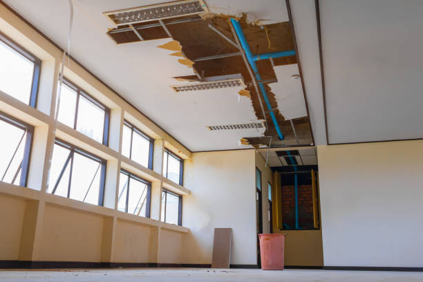 Best Water damage restoration near me  in Blaine, TN