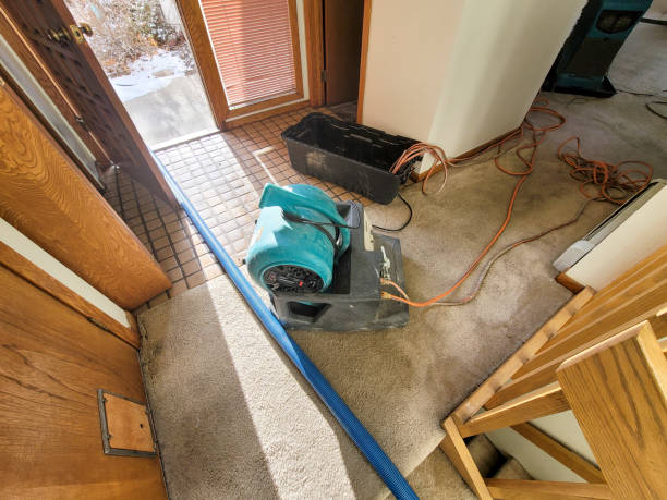Best Sewage cleanup and water damage restoration  in Blaine, TN