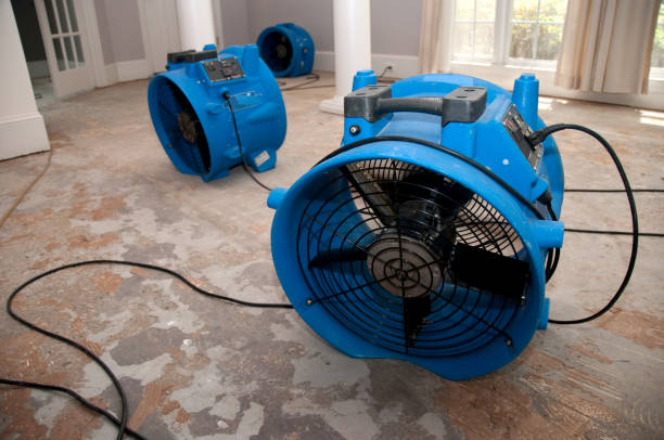 Best Flood restoration services  in Blaine, TN