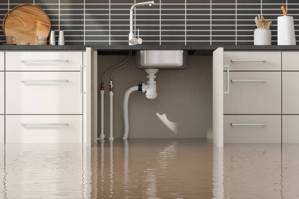 Best Water damage restoration process  in Blaine, TN
